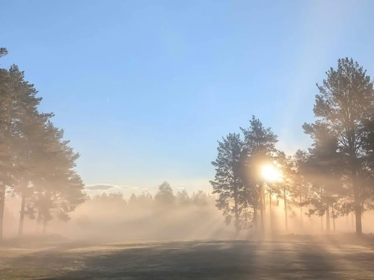 Mora GK hälsar! 🌸